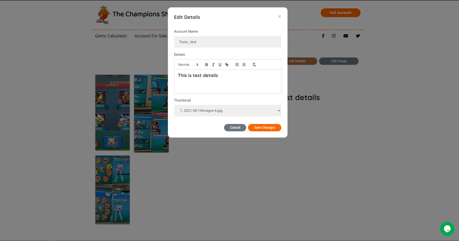 Project screenshot 12